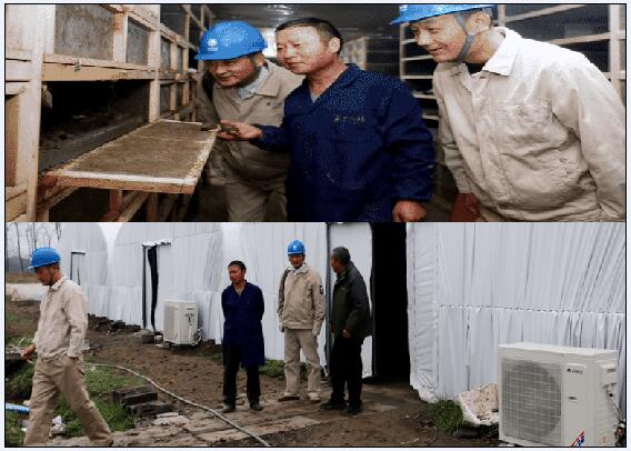 &ldquo;蝸牛媽媽&rdquo;住進電氣化保溫棚