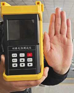 手持式接地引下線導(dǎo)通測試儀_SRJD-10S